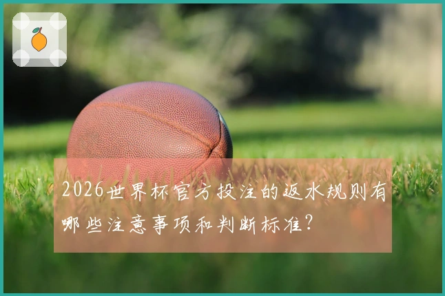 2026世界杯官方投注的返水规则有哪些注意事项和判断标准？