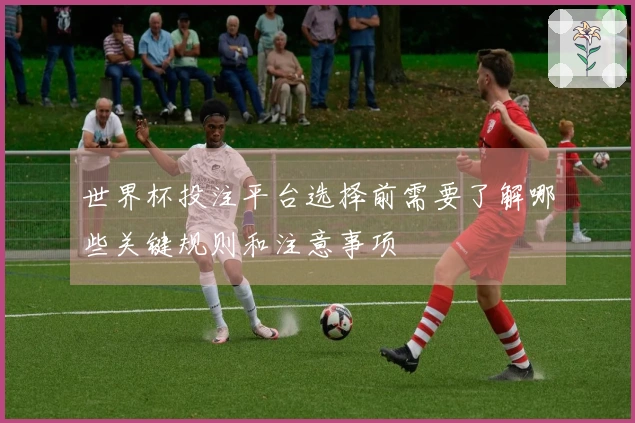 世界杯投注平台选择前需要了解哪些关键规则和注意事项