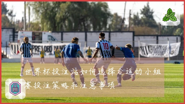 世界杯投注站如何选择合适的小组赛投注策略和注意事项