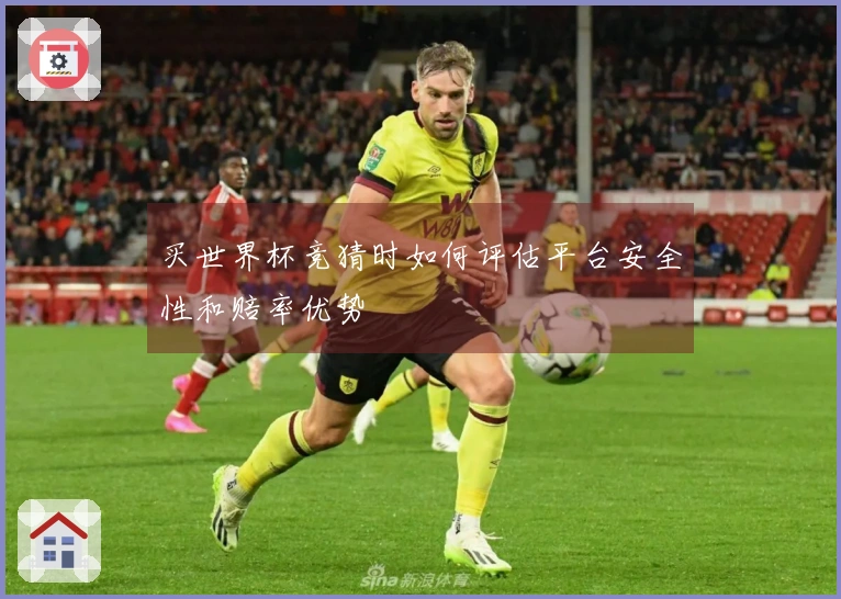 买世界杯竞猜时如何评估平台安全性和赔率优势